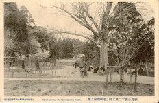 徳島公園十二景之内(千秋閣後之景)