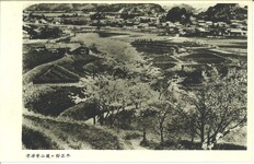 津乃峰登山道の桜並木