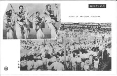 徳島市の風光　阿波踊