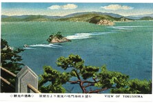 展望台より激流の鳴門海峡を望む