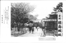 木間がくれに見える千秋閣