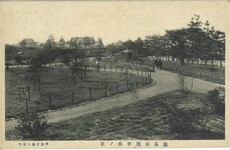 徳島公園中央の東