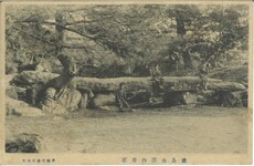 徳島公園内奇石