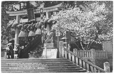 展がる街を見おろす金比羅神社の桜