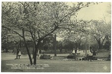 城山の道跡かがやく桜の徳島公園