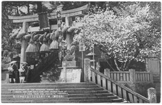 展がる街を見おろす金比羅神社の桜