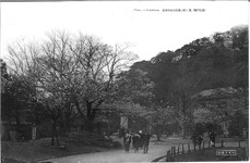 花に賑ふ徳島公園の春色