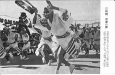 阿波踊り　花模様、真夏の夢
