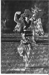 阿波踊り　こぼれる阿波の風情