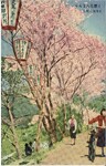 らんまん花開く　牟岐八坂附近
