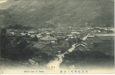 阿波池田町ノ全景