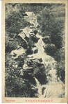阿波池田水道水源地実景