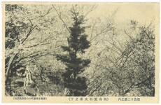 桃山五明文庫之下