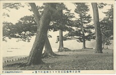 阿波日和佐薬王寺ヨリ日和佐町ヲ望ム