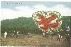 阿波名物大凧桜大(彩色）