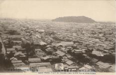 勢見山より見たる徳島全市街