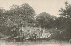 徳島公園十二景の七　（東宮殿下御座所の庭）