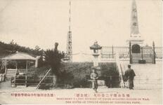 徳島公園十二景の九　（紀念標）