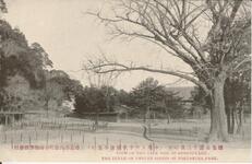 徳島公園十二景の十　（中央より千秋閣を望む）
