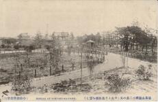 徳島公園続十二景の五（中央より鳳凰台を望む）