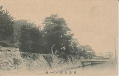 徳島公園の一部