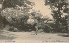徳島公園続十二景の十一（神仙台）