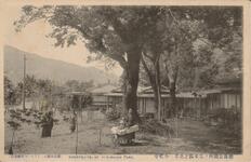 徳島公園内ノ長生区之北羊　小松亭
