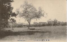 徳島公園内　其十三