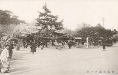 徳島公園の一部