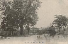 徳島公園其十一