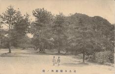 徳島公園樹林ノ蔭