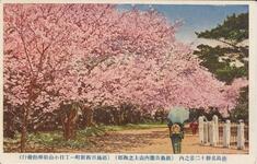 徳島公園十二景之内（徳島公園内山上之西部）