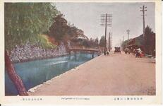 徳島公園数寄屋橋遠望