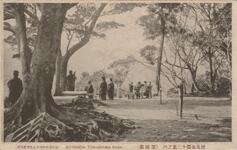 徳島公園十二景之内（望遠台）