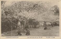 徳島十二景之内（徳島公園紀念碑前）