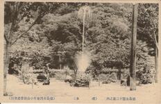 徳島公園十二景之内（噴水）