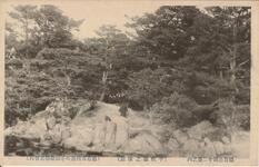 徳島公園十二景之内（千秋閣ノ後庭）