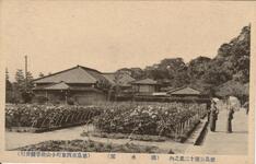 徳島公園十二景之内（滴翠閣）