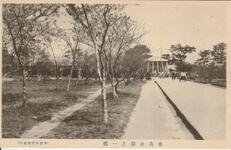 徳島公園の一部