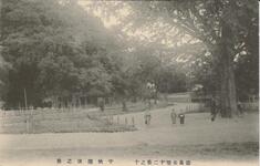 徳島公園十二景之十　千秋閣後之景