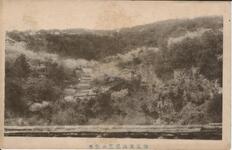 徳島東山桜花の全景