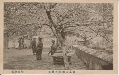 徳島大瀧山の桜花