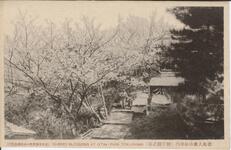 徳島大瀧山公園内（朝日館之前）