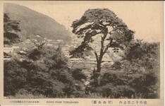 徳島十二景之内（眉山公園）