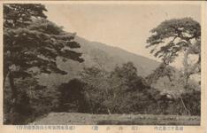 徳島十二景之内（眉山公園）