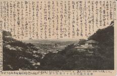 徳島大瀧山東山ヨリ市街ヲ望ム