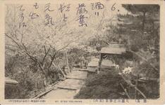 （徳島）大瀧山之春景（其六）