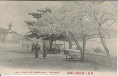 徳島大瀧山桜の満開