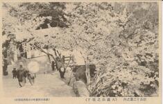 徳島十二景之内（大瀧山之塔下）