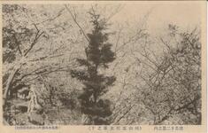 徳島十二景之内（桃山五明文庫之下）